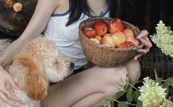 Xiuren秀人网 – 体验青春活力：尤妮丝Egg体操服写真图包让你感受无限可能.txt
