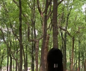 beautyleg – Lucy的优雅礼服写真：每一张套图都是一段故事.txt