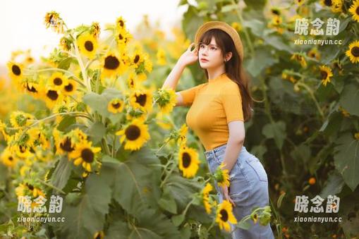 前羽_rr首度推出明日奈同人旗袍写真图集，重温经典与美感.txt