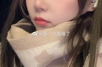 是一只废喵了将2023圣诞的氛围化为艺术，精彩套图下载等你来品味.txt