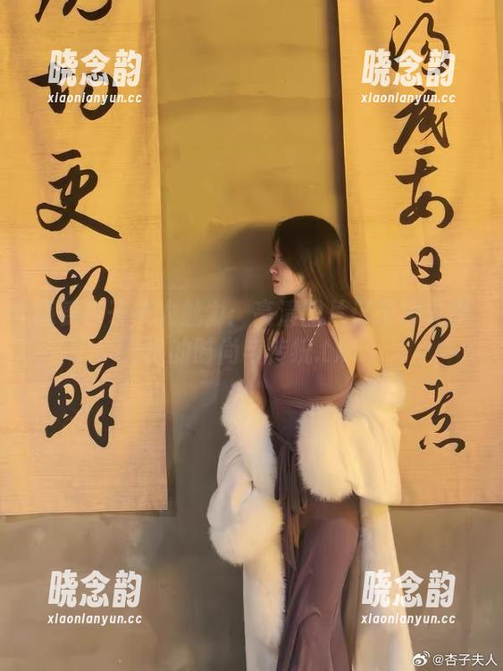 感受杏子夫人魅力：高清图片记录功夫旗袍的时尚与传统.txt
