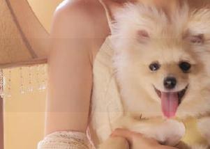 秀人网 – 夏天的梦想画卷：周慕汐baby高清写真分享与潮流碰撞.txt